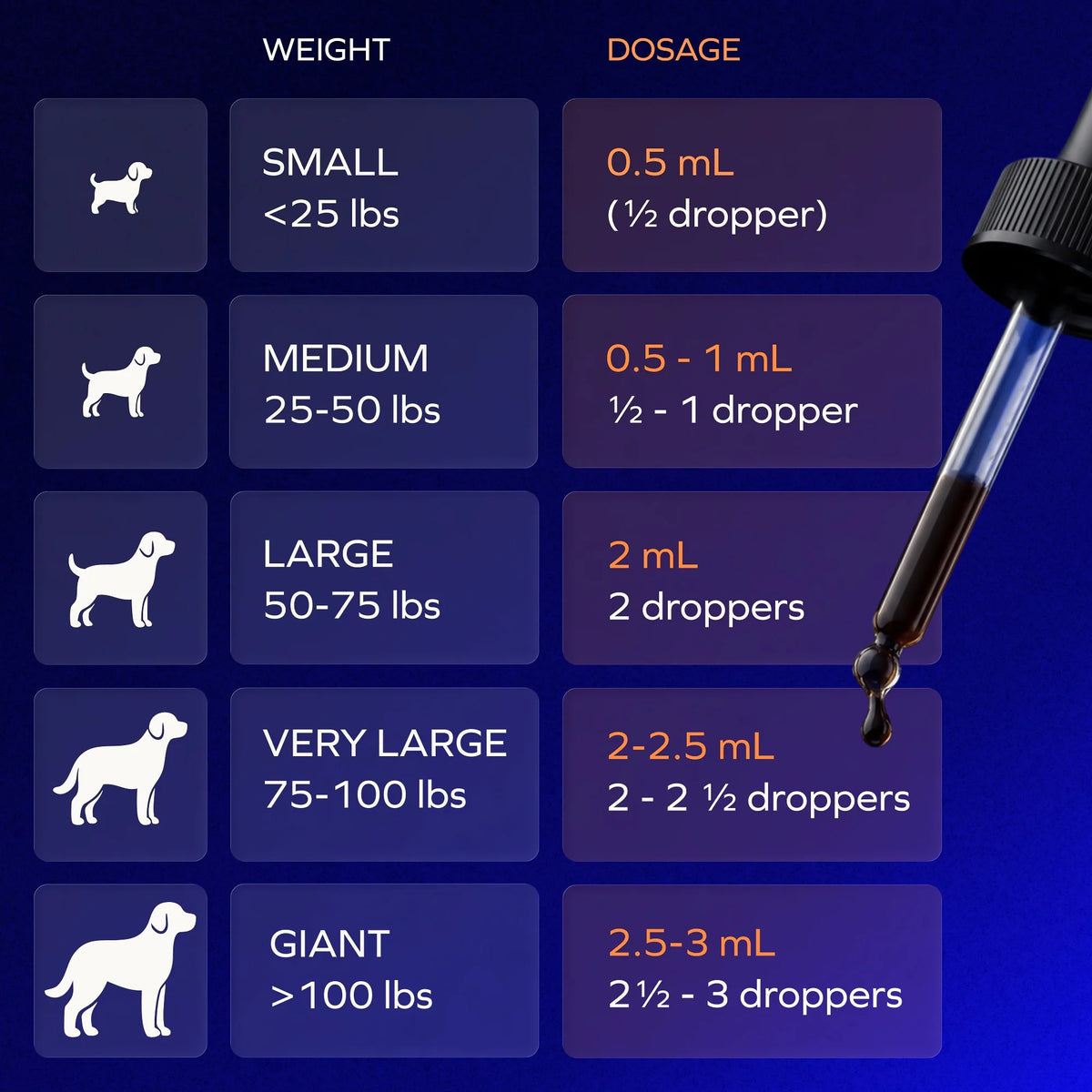 Brain Blossom™ by Velona for Dogs