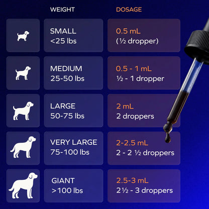 Brain Blossom™ by Velona for Dogs