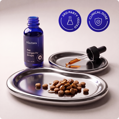 NAD+ Longevity Drops