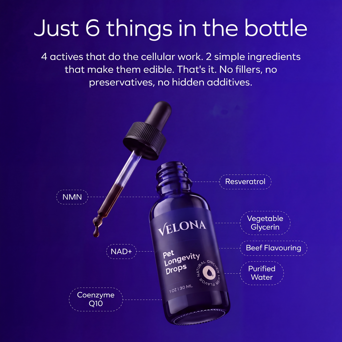 NAD+ Longevity Drops