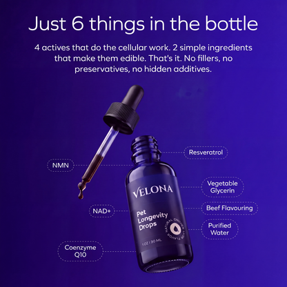 NAD+ Longevity Drops